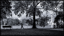 1 položka z fotogalerie, malé (thumbnail) ukázkové foto. Německo - moře, příroda, města